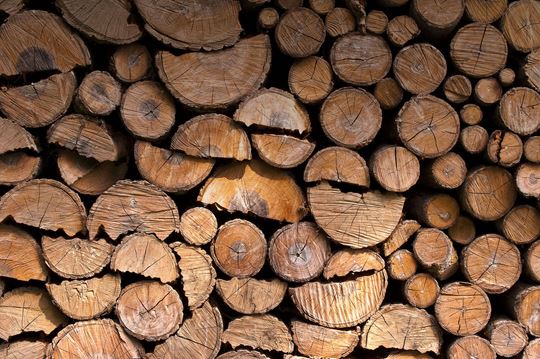 wood logs