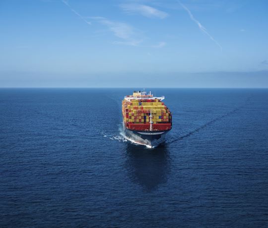 MSC Kanoko (built 2019) 14,336 TEU 